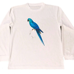 エドワード・リア　ドライ　Tシャツ　オウム　インコ　鸚鵡　鸚哥　グッズ　鳥類　小鳥　青い鳥   　長袖　ロング　ロンＴ 1枚目の画像