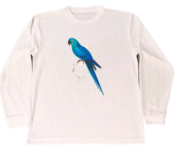 エドワード・リア　ドライ　Tシャツ　オウム　インコ　鸚鵡　鸚哥　グッズ　鳥類　小鳥　青い鳥   　長袖　ロング　ロンＴ 1枚目の画像