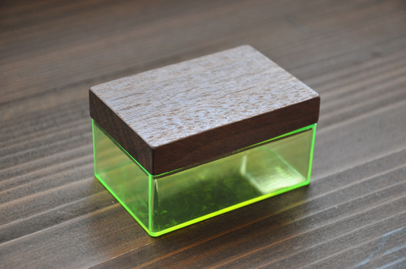 futamono [古いセルロイドケース］ その他ケース コタニ サツキ