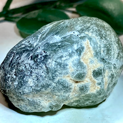 2049b15b5f7a36b2cbafb834c31759