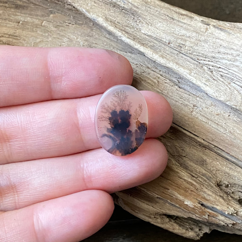 ハイグレード♢シーニック デンドリティックアゲート/デンドライト