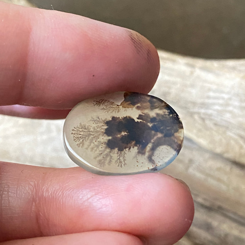 ハイグレード♢シーニック デンドリティックアゲート/デンドライト