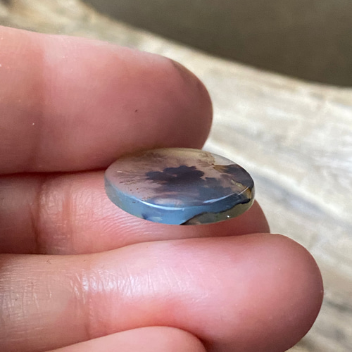 週末セール デンドリティックアゲート シルバーリング サイズ13号