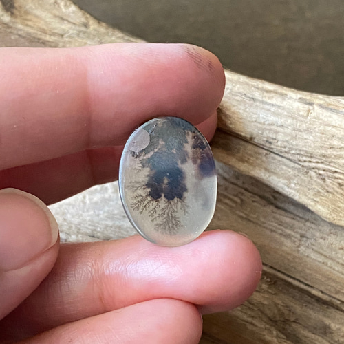 週末セール デンドリティックアゲート シルバーリング サイズ13号 デンドリティックアゲートシルバーリング#13 | iichi 日々の