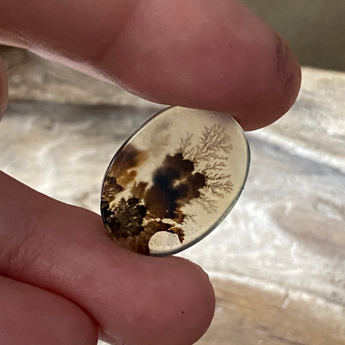 週末セール デンドリティックアゲート シルバーリング サイズ13号