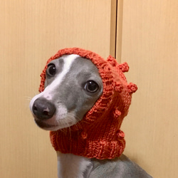 新作♪ 手編み ■ ぽこぽこ 水玉 の ニット帽 ■ ホッブルのスヌード 犬 犬用帽子 ウエア イタグレ ミニピン 3枚目の画像