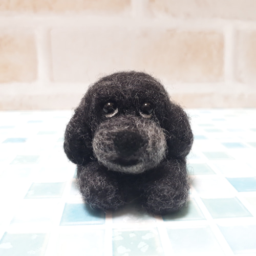 トイプードル黒 寝そべりポーズ 羊毛フェルト manahata 通販 14564642
