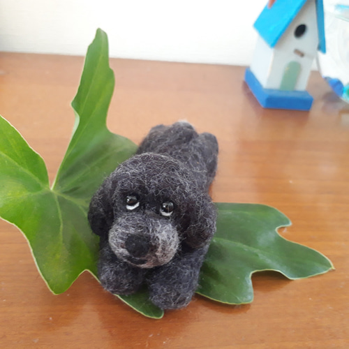 羊毛フェルト　ハンドメイド　犬　トイプードル　寝そべりポーズ 羊毛フェルトハンドメイド犬トイプードル寝そべりポーズ