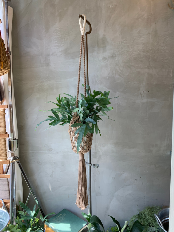 HANGING PLANTER ハンギングプランター 1枚目の画像