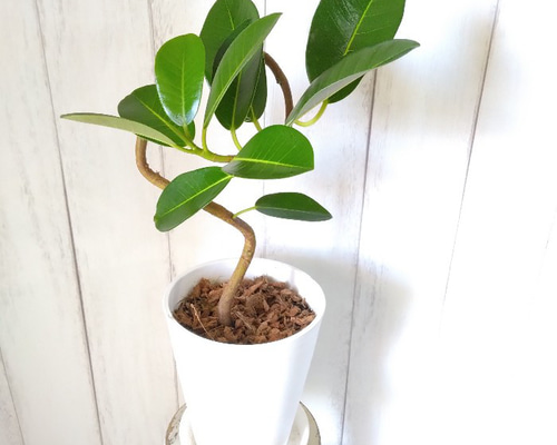 174a95cadda0cf77f5de7f7a68669b