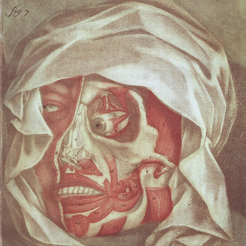 ジャック・ファビアン・ゴーティエ・ダゴティ 3 ドライ Tシャツ 名画