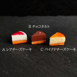 【選べる・タルト・金具/無し可】 ✾こだわりのミニチュアタルト ケーキ　ストラップ チャーム キーホルダー 2枚目の画像