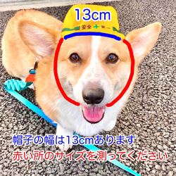 中型犬用やわらかヘルメット風帽子【名入れできる！】コーギーや柴犬のおもしろコスプレ帽子 10枚目の画像