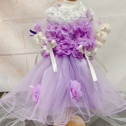 犬猫うさちゃん服　アプリコットカラー、紫色のお花畑レースドレス 16枚目の画像