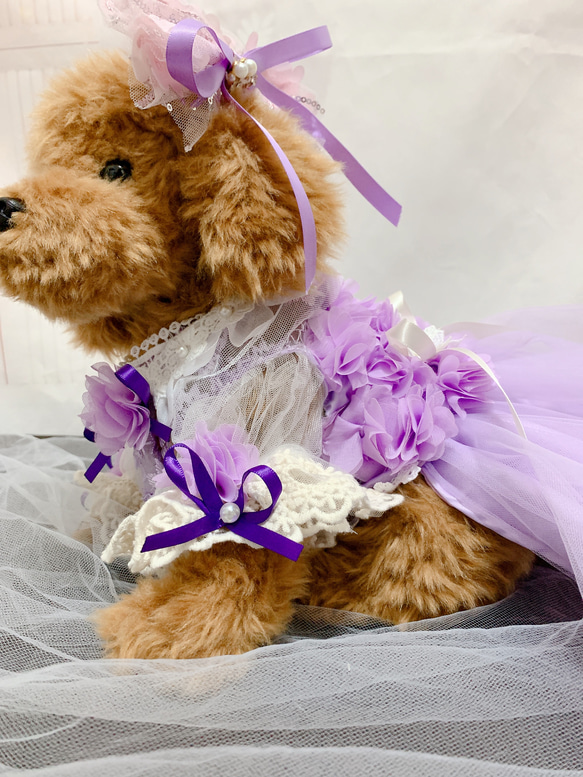 犬猫うさちゃん服　アプリコットカラー、紫色のお花畑レースドレス 5枚目の画像