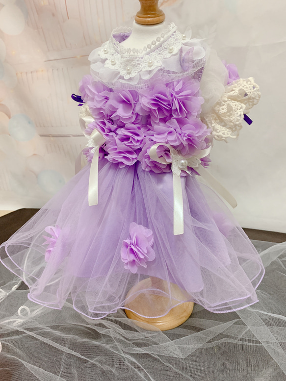 犬猫うさちゃん服　アプリコットカラー、紫色のお花畑レースドレス 7枚目の画像