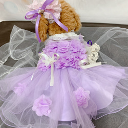 犬猫うさちゃん服　アプリコットカラー、紫色のお花畑レースドレス 14枚目の画像