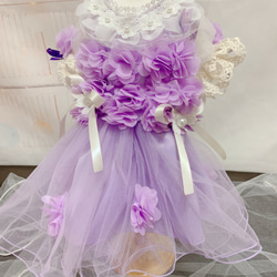 犬猫うさちゃん服　アプリコットカラー、紫色のお花畑レースドレス 2枚目の画像