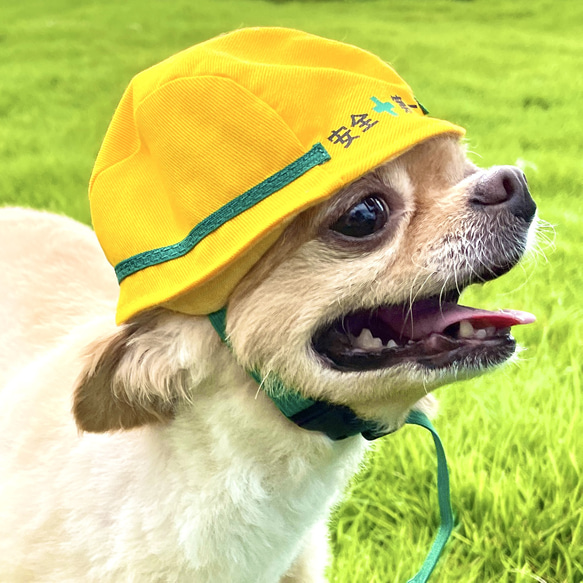 大型犬用やわらかヘルメット風帽子【名入れできる！】建築会社の看板犬に！ 7枚目の画像