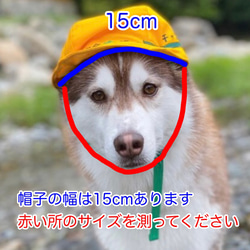 大型犬用やわらかヘルメット風帽子【名入れできる！】建築会社の看板犬に！ 9枚目の画像