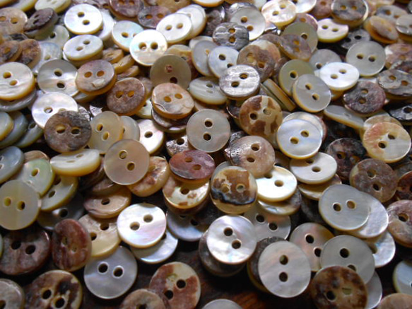 アコヤ貝のボタン　9mm　2穴　20個 8枚目の画像