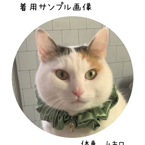 No.6528】猫の首輪/ちりめん/緑色系/エメラルドグリーン