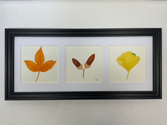 ボタニカルラボページ ボタニカルラボ様専用ページ 【公式通販】