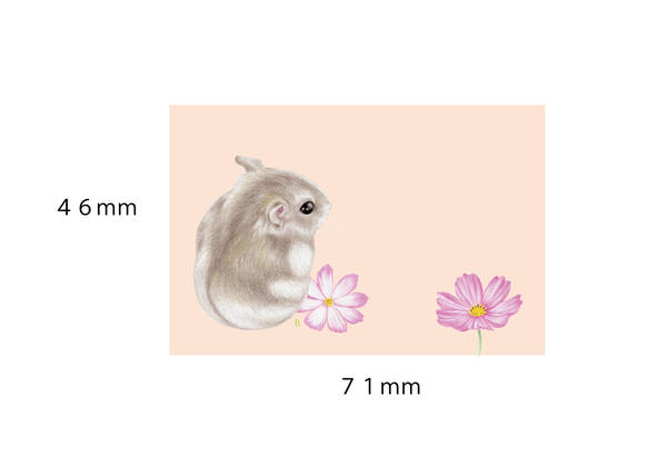 ハムスターとコスモスの付箋（ふせん） 1枚目の画像