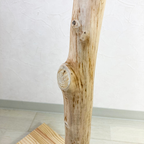 流木の止まり木】高さ約73cm！鳥 インコ 使いやすい2又の止まり木