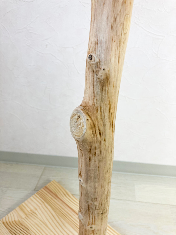 【流木の止まり木】高さ約73cm！鳥 インコ 使いやすい2又の止まり木 9枚目の画像