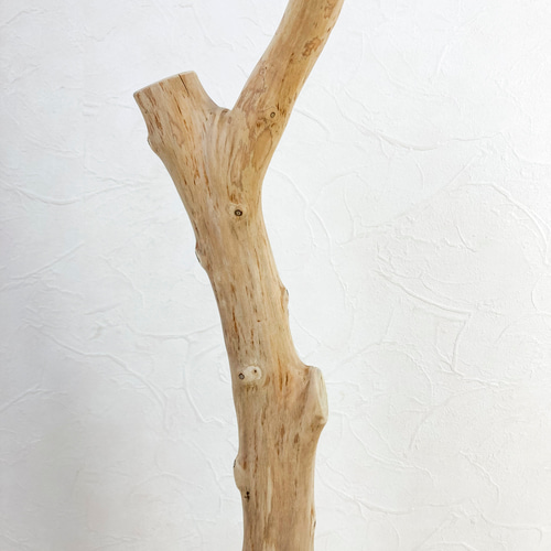 流木の止まり木】高さ約73cm！鳥 インコ 使いやすい2又の止まり木