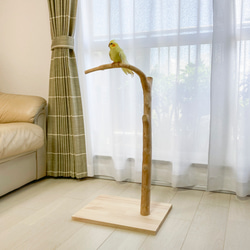 【流木の止まり木】高さ約73cm！鳥 インコ 使いやすい2又の止まり木 1枚目の画像