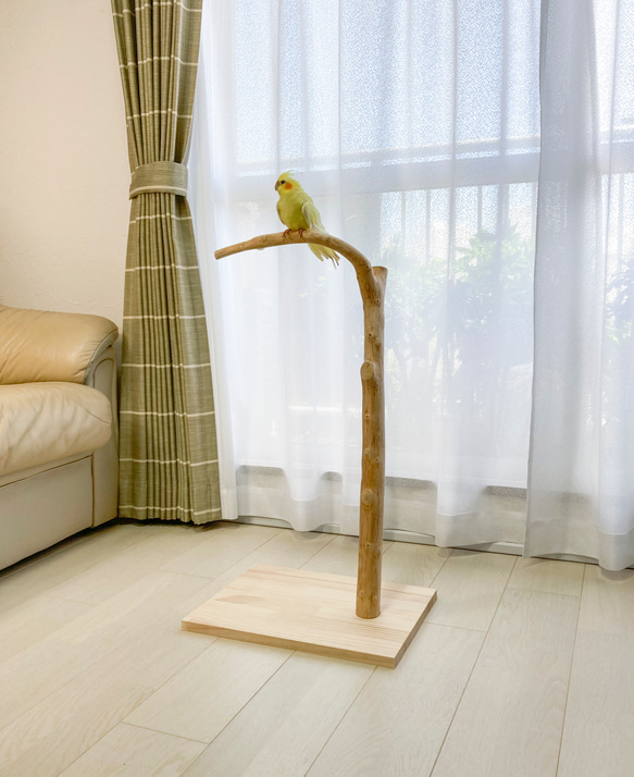 【流木の止まり木】高さ約73cm！鳥 インコ 使いやすい2又の止まり木 1枚目の画像