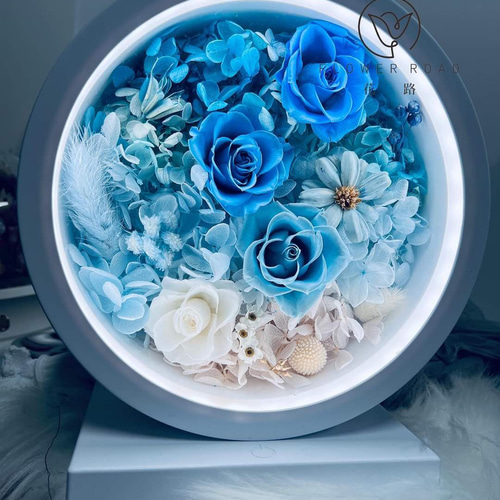 【予約販売品】 グラデーションプリザーブドフラワーLEDライト その他アート 花 フラワー・リース