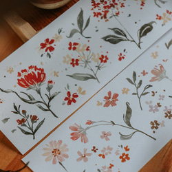 【切り売り】Meow Illustration 和紙 マスキングテープ 《Flower Field》 [MI033] 6枚目の画像
