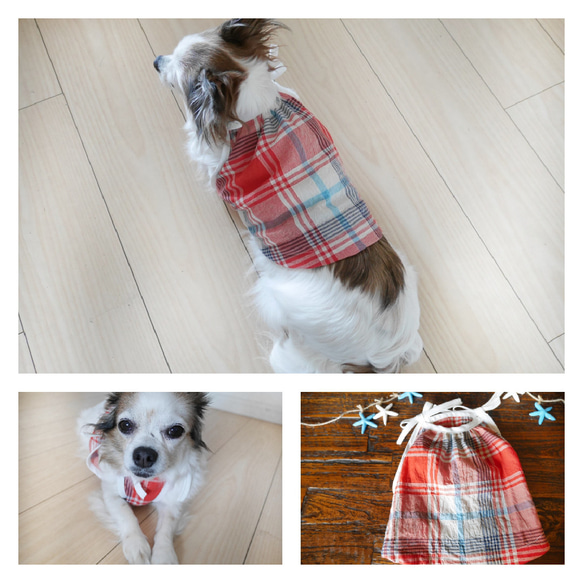 【受注生産】  【犬服サイズオーダーXS・S・M】ギンガムチェックのキャミワンピ／ブルー・ピンク 5枚目の画像