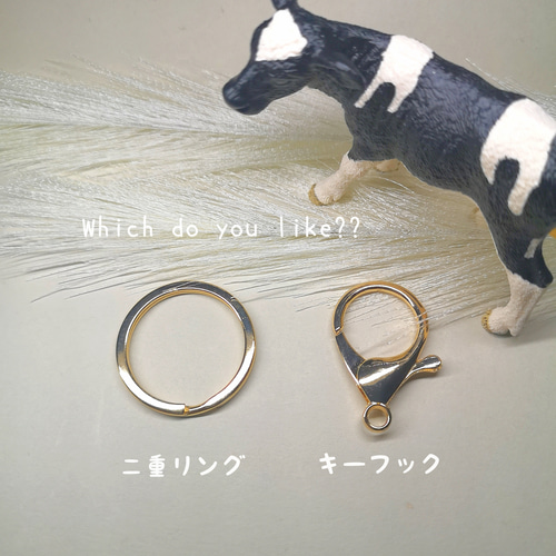 バイオベース樹脂から生まれた⭐ キラキラでおしゃれしたイルカ
