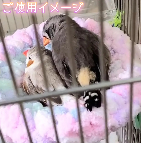 小鳥皿巣ベッド Birds nest bed 3枚目の画像