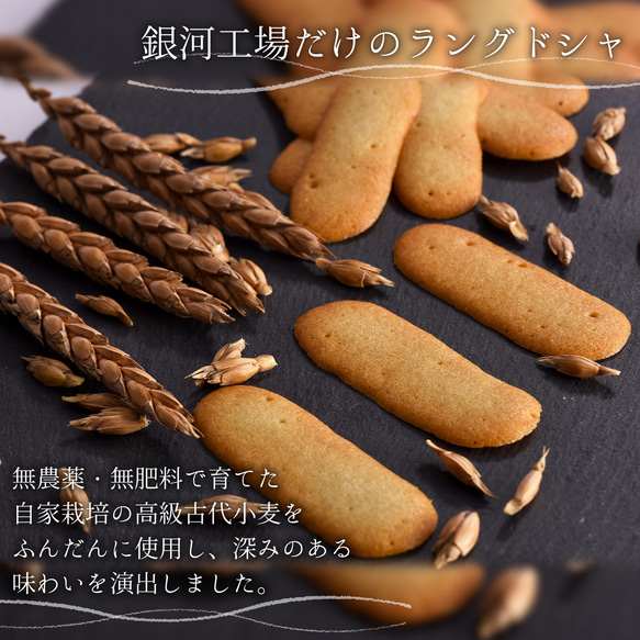 銀河クッキー ラングドシャ プリンス缶 無農薬 自家栽培 古代小麦 国産バター お菓子のミカタ 添加物不使用 プチギフト 3枚目の画像