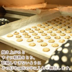 銀河クッキー　ビターチョコクッキー ショコラ缶　国産小麦　国産バター　添加物不使用　プチギフト お菓子のミカタ 9枚目の画像