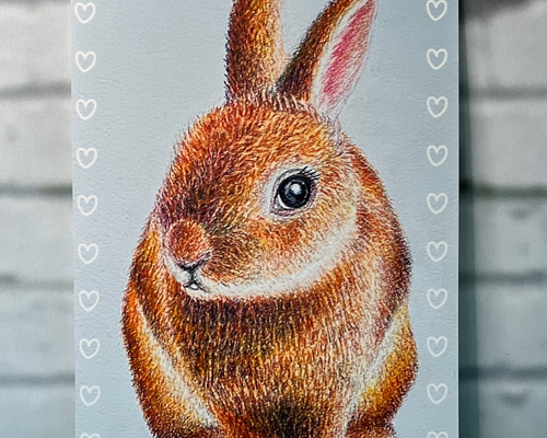 『うさぎの嫁入り』　水彩色鉛筆画 87f1554697f3843d071e05c6b4955b