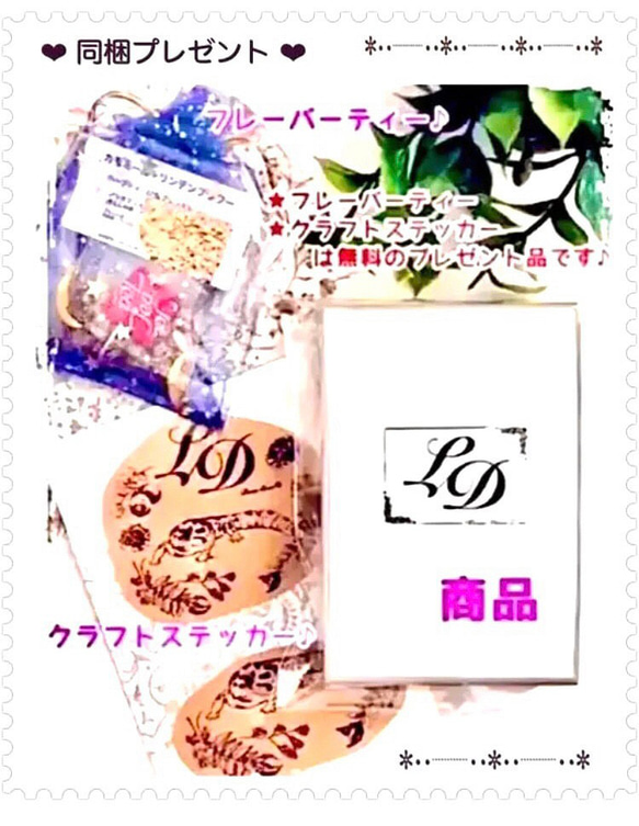 爬虫類　【クレステッドゲッコー】家守キーホルダー(*☌ᴗ☌)ꕤ* アンティーク調　豪華特典・プレゼント付♡ 6枚目の画像