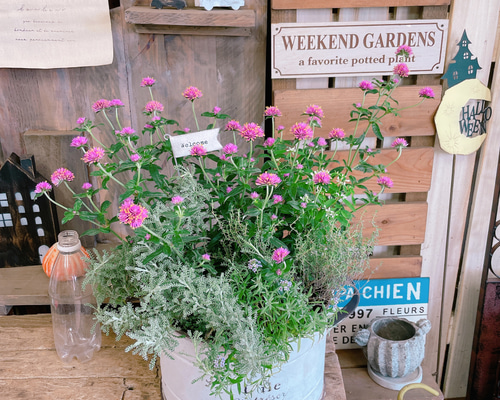 19ad1bce20cd002ac286ee1406ec42