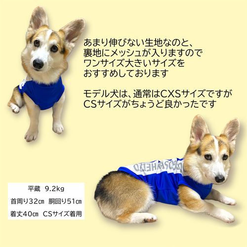 アリスセット くるみバージョン💕💕 ・ #アリスセット#コニワン
