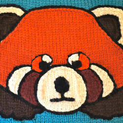 秋冬・あらいぐまのちびっこセーター　90〜100cm 3枚目の画像