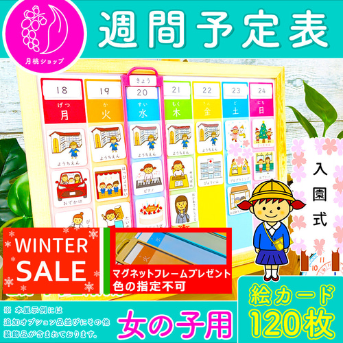 週間予定表 女の子用 お支度ボード スケジュール表 絵カード100枚分