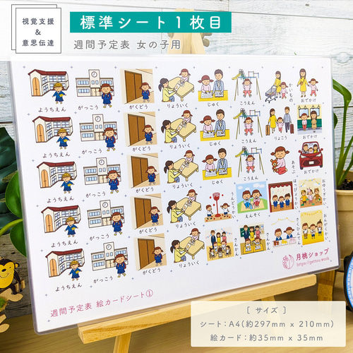 週間予定表 女の子用 お支度ボード スケジュール表 絵カード100
