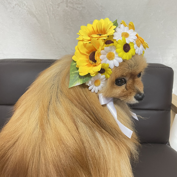 犬服♡ひまわり ヘアアクセサリー ブーケキャップ 3枚目の画像