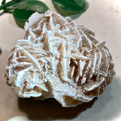 特大✨　知性の石　砂漠の薔薇　デザートローズ　セレナイト　ラフストーン　原石 知性の石】砂漠の薔薇 デザートローズ セレナイト ラフストーン