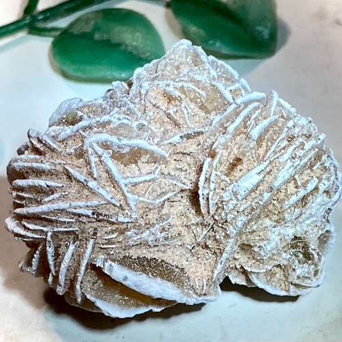 特大✨　知性の石　砂漠の薔薇　デザートローズ　セレナイト　ラフストーン　原石 特大✨ 知性の石 砂漠の薔薇 デザートローズ セレナイト ラフ
